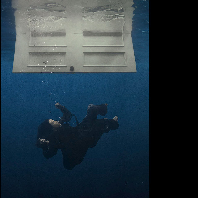 Wildflower – Billie Eilish